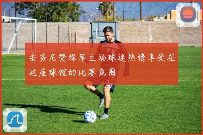 安芬尼赞绿军主场球迷热情享受在这座球馆的比赛氛围