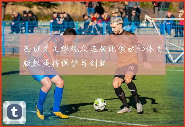 西班牙足球观众盗版比例达43体育版权亟待保护与创新