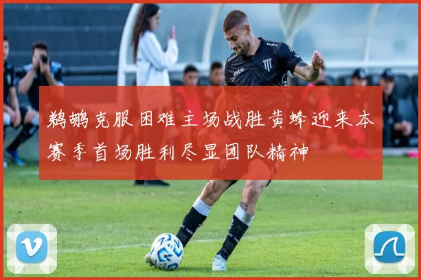 鹈鹕克服困难主场战胜黄蜂迎来本赛季首场胜利尽显团队精神